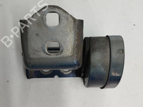 Hinge/Door check strap RENAULT MEGANE II (BM0/1_, CM0/1_) | BP21389647C146