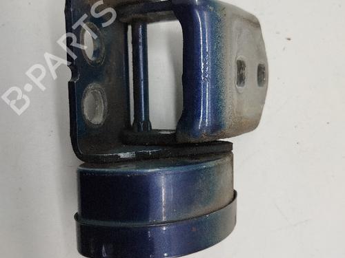 Hinge/Door check strap RENAULT MEGANE II (BM0/1_, CM0/1_) | BP21389647C146