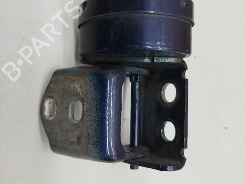 Hinge/Door check strap RENAULT MEGANE II (BM0/1_, CM0/1_)  | BP21389650C146 