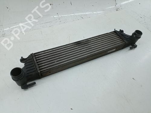Intercooler FIAT TIPO Saloon (356_, 357_) 1.3 D (356SXB1A, 356SXH1A, 356SXD1A) | BP30106253M30