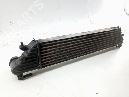Intercooler FIAT TIPO Saloon (356_, 357_) 1.3 D (356SXB1A, 356SXH1A, 356SXD1A) | BP30106253M30