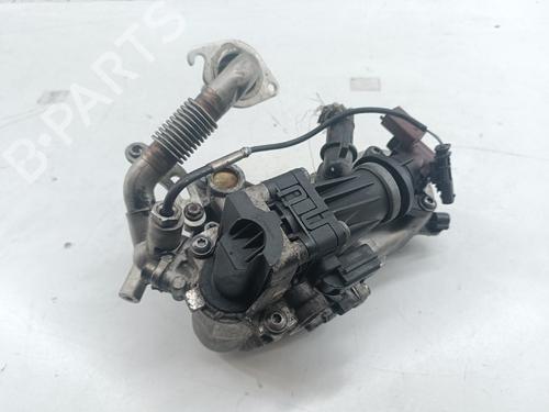 Egr FIAT TIPO Saloon (356_, 357_) 1.3 D (356SXB1A, 356SXH1A, 356SXD1A) | BP31253638M69 