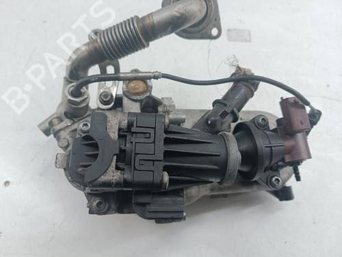 Egr FIAT TIPO Saloon (356_, 357_) 1.3 D (356SXB1A, 356SXH1A, 356SXD1A) | BP31253638M69 