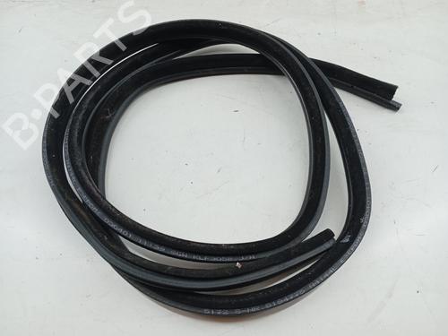 Gummiliste BMW 3 Touring (E46) [1999-2005]  24356774