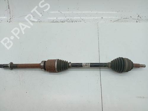 BP24830428O1 main image