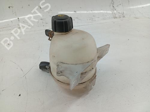 Expansion tank DACIA LOGAN MCV (KS_) 1.5 dCi (KS04) | BP24830550C120