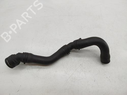 Other VW GOLF IV (1J1) 1.4 16V | BP25747692O1