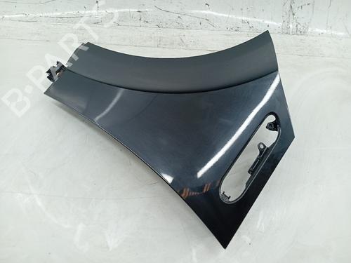 Left front fenders MINI MINI (R50, R53)  | BP25891345C41 