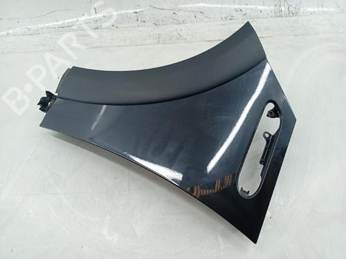 Left front fenders MINI MINI (R50, R53)  | BP25891345C41 