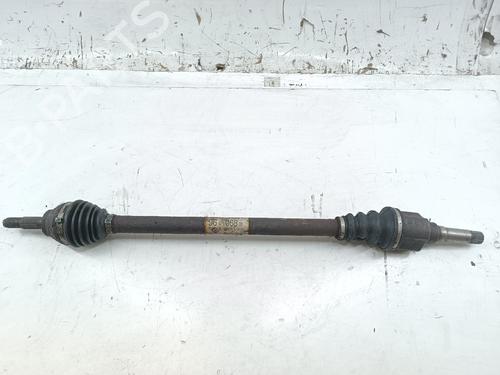 BP17297245M39 main image