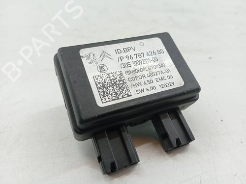 Electronic module CITROËN DS5 2.0 HDi 165 | BP31253799M83 