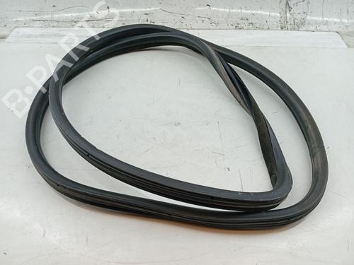 Gummiliste CITROËN DS5 2.0 HDi 165 | BP27363343C142