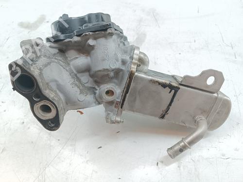 Egr CITROËN DS5 2.0 HDi 165 | BP31253811M69