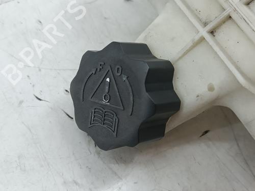 Expansion tank PEUGEOT 206 CC (2D)  | BP27478515C120 