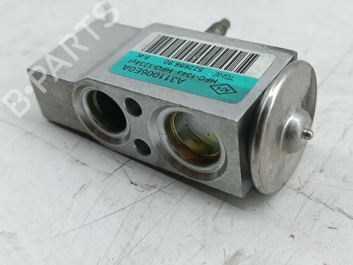 Electronic module FIAT DOBLO Cargo (263_) | BP31253859M83