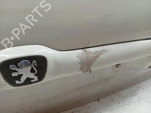 Tailgate PEUGEOT 206 Van 1.4 HDi | BP27803341C6 