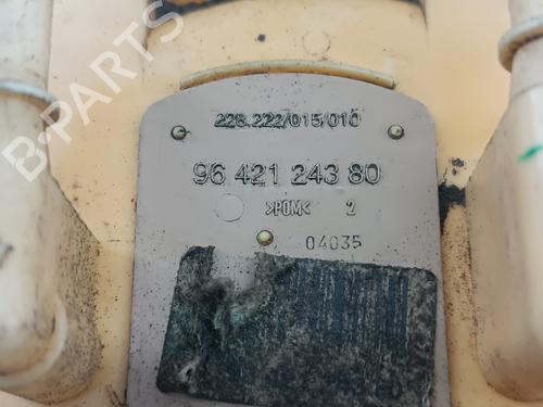 Fuel pump PEUGEOT 206 CC (2D) | BP28187065M76