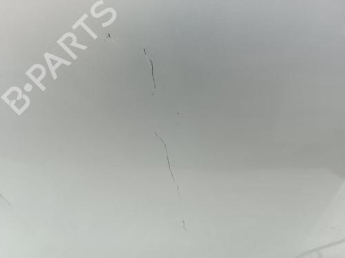 Motorhjelm RENAULT MEGANE II (BM0/1_, CM0/1_) 1.5 dCi (BM0F, BM0T, BM2B, CM0F, CM0T) | BP28730006C1 