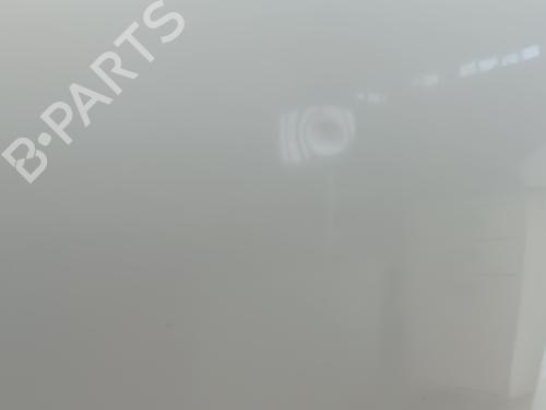 Motorhjelm RENAULT MEGANE II (BM0/1_, CM0/1_) 1.5 dCi (BM0F, BM0T, BM2B, CM0F, CM0T) | BP28730006C1 