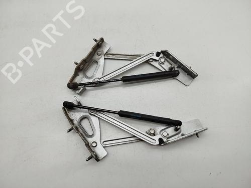 Used Hinge/Door check strap PEUGEOT 407 (6D_) 2.7 HDi (6DUHZJ, 6DUHZF) (204 hp) 31254029