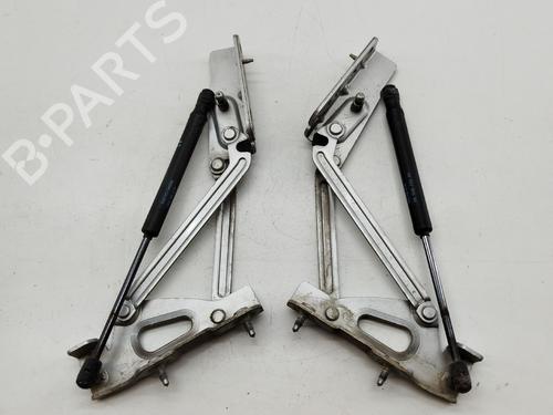 Hinge/Door check strap PEUGEOT 407 (6D_) 2.7 HDi (6DUHZJ, 6DUHZF) | BP31254029C146 