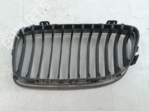 Used Grille BMW 3 (E90) 316 d (116 hp) 29028081