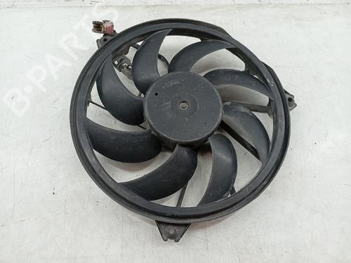 Radiator fan PEUGEOT 206 Hatchback (2A/C)  | BP29077634M35 