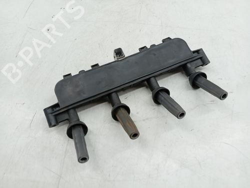 Ignition coil PEUGEOT 206 Hatchback (2A/C) | BP29116102M94
