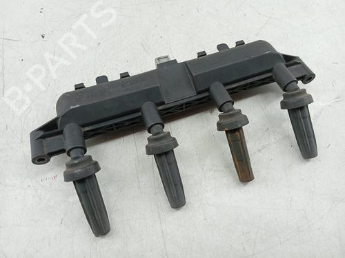 Ignition coil PEUGEOT 206 Hatchback (2A/C) | BP29116102M94