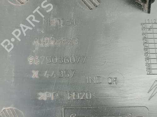 Other CITROËN C3 II (SC_) | BP29164860O1