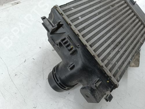 Intercooler RENAULT MEGANE IV Hatchback (B9A/M/N_)  | BP29180259M30 