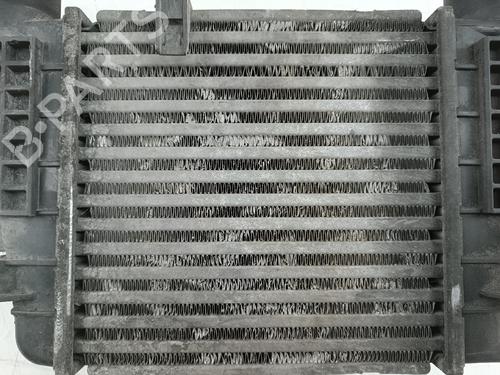 Intercooler RENAULT CLIO III (BR0/1, CR0/1)  | BP29180264M30 