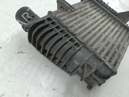 Intercooler RENAULT CLIO III (BR0/1, CR0/1)  | BP29180264M30 