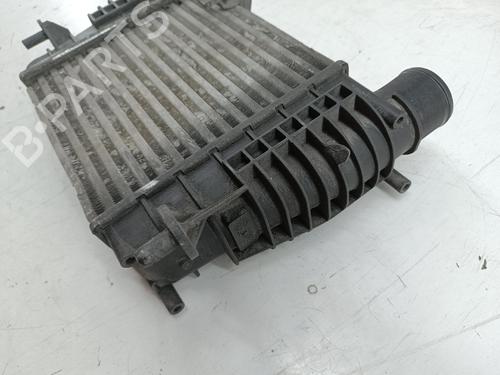 Intercooler RENAULT CLIO III (BR0/1, CR0/1)  | BP29180264M30 