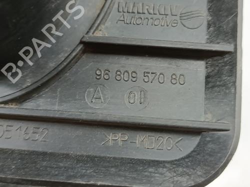 Other CITROËN DS4 (NX_) | BP29397208O1