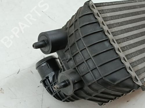 Intercooler CITROËN DS5 2.0 HDi 200 Hybrid4 All-wheel Drive | BP29400786M30