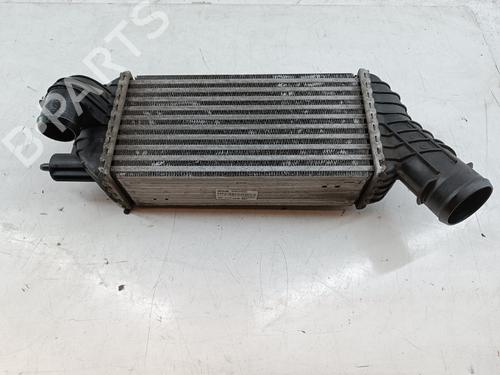 Intercooler CITROËN DS5 2.0 HDi 200 Hybrid4 All-wheel Drive | BP29400786M30