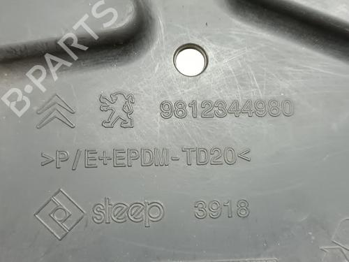 Toppbeskyttelse CITROËN DS5 2.0 HDi 200 Hybrid4 All-wheel Drive | BP29400788M93 