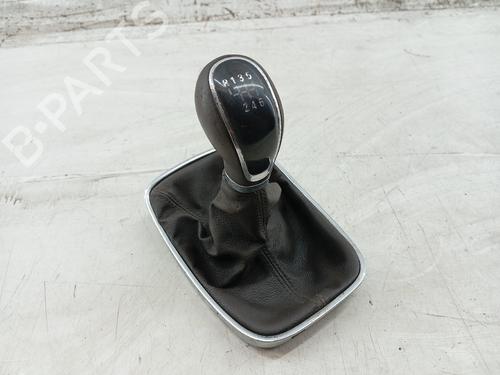 Shift knob OPEL INSIGNIA A (G09) 2.0 CDTI (68) | BP31254123I34