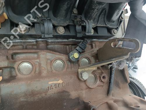Engine FIAT PUNTO (188_) 1.2 16V 80 (188.233, .235, .253, .255, .333, .353, .639,... | BP29699146M1 
