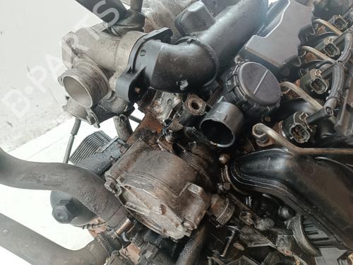 Moteur CITROËN BERLINGO / BERLINGO FIRST Box Body/MPV (M_)  | BP29700105M1