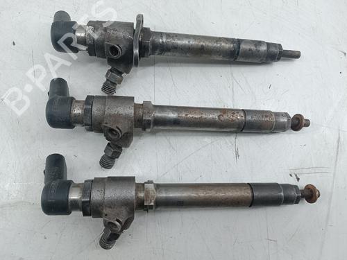 Injector JAGUAR S-TYPE II (X200) 2.7 D | BP29806585M100