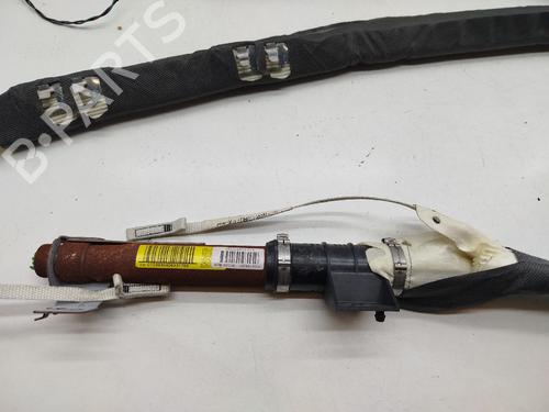 Left curtain airbag RENAULT GRAND SCÉNIC II (JM0/1_) 1.6 | BP29824901C11