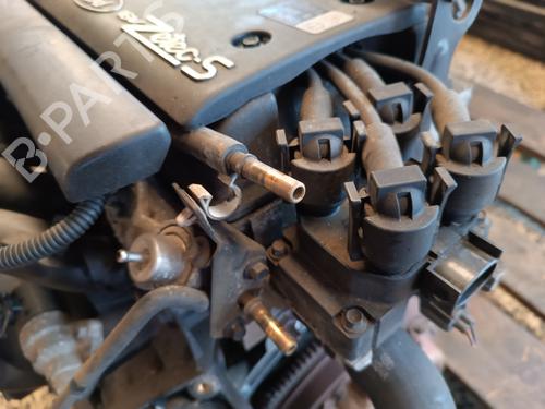 Engine FORD FIESTA IV (JA_, JB_) 1.25 i 16V | BP29825607M1 