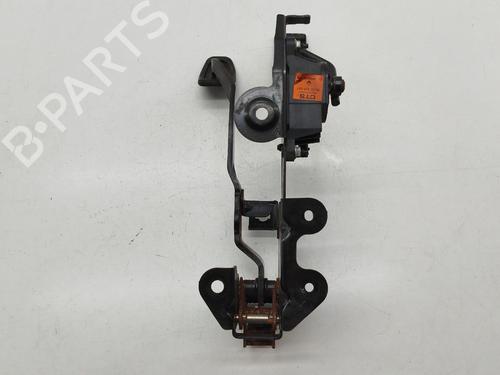 Pedal RENAULT GRAND SCÉNIC II (JM0/1_) 1.6 | BP29828927I4 
