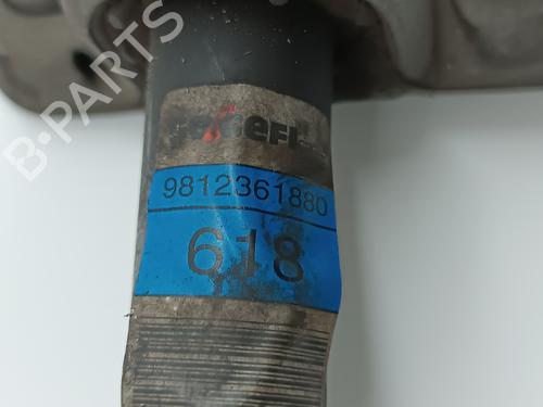 Anti roll bar PEUGEOT 5008 II (MC_, MJ_, MR_, M4_)  | BP29925169M96