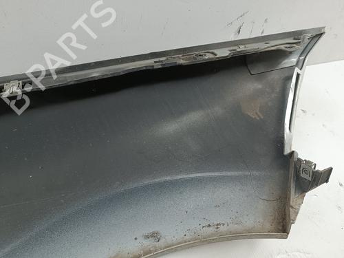 Left front fenders RENAULT MEGANE II (BM0/1_, CM0/1_) 1.5 dCi (BM0F, BM0T, BM2B, CM0F, CM0T) | BP29970896C41