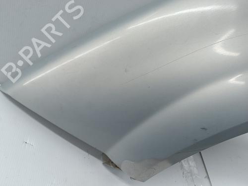 Left front fenders RENAULT MEGANE II (BM0/1_, CM0/1_) 1.5 dCi (BM0F, BM0T, BM2B, CM0F, CM0T) | BP29970896C41