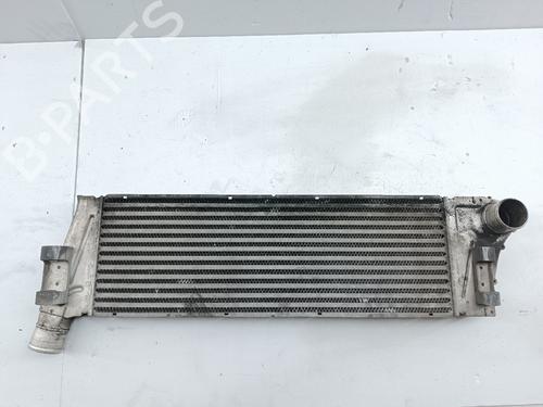 Intercooler RENAULT MEGANE II (BM0/1_, CM0/1_) 1.5 dCi (BM0F, BM0T, BM2B, CM0F, CM0T) | BP29973589M30