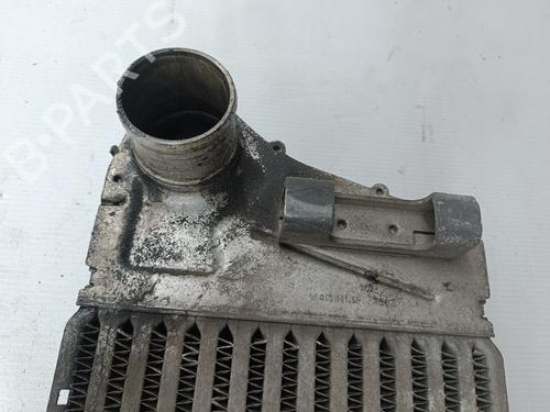 Intercooler RENAULT MEGANE II (BM0/1_, CM0/1_) 1.5 dCi (BM0F, BM0T, BM2B, CM0F, CM0T) | BP29973589M30